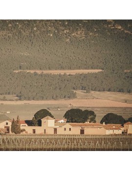 La Joven Hacienda El Espino domaine.